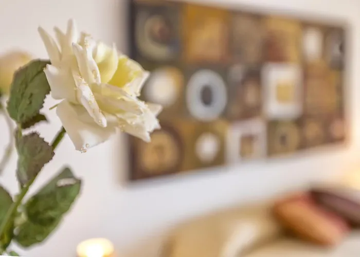 Brandinu ヴィラ *